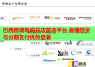巴西跨境電商開(kāi)店首選平臺(tái) 直播帶貨與分期支付優(yōu)勢(shì)顯著