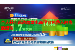 個人開店首選跨境電商平臺免費入駐高效運營