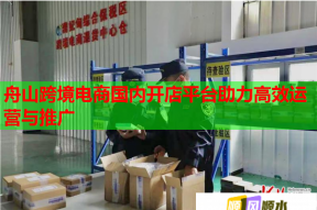 舟山跨境電商國內開店平臺助力高效運營與推廣