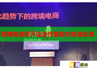 跨境電商幫開店全托管助力快速出海