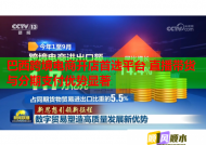 巴西跨境電商開店首選平臺 直播帶貨與分期支付優勢顯著