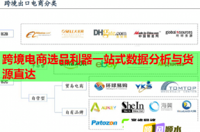 跨境電商選品利器一站式數(shù)據(jù)分析與貨源直達