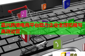嘉興跨境電商平臺助力企業全球拓展與高效運營