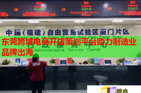 東莞跨境電商開(kāi)店策劃平臺(tái)助力制造業(yè)品牌出海
