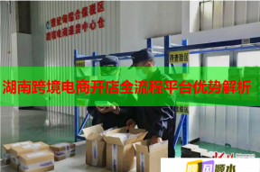 湖南跨境電商開店全流程平臺優勢解析