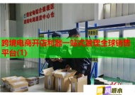 跨境電商開店利器一站式管理全球銷售平臺(1)