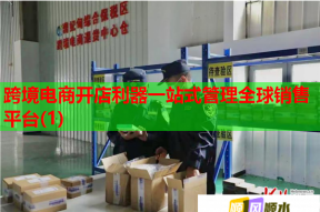 跨境電商開店利器一站式管理全球銷售平臺(1)