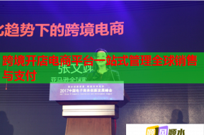 跨境開店電商平臺(tái)一站式管理全球銷售與支付