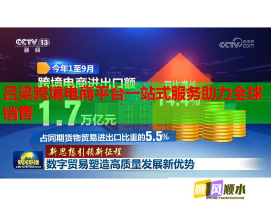 呂梁跨境電商平臺一站式服務助力全球銷售  第2張