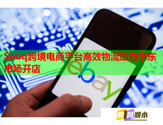 Souq跨境電商平臺(tái)高效物流助力中東市場(chǎng)開店  第2張