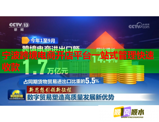 寧波跨境電商開店平臺一站式管理快速收款  第1張