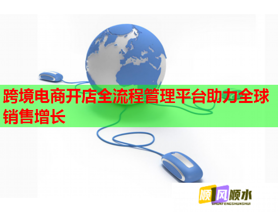 跨境電商開店全流程管理平臺助力全球銷售增長  第3張