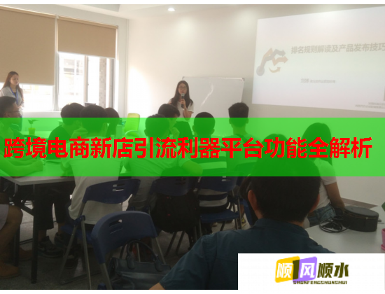 跨境電商新店引流利器平臺功能全解析  第2張